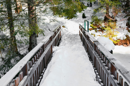 雪在孚日小品小桥图片