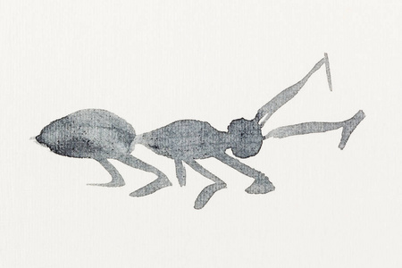 在奶油纸上的相思-由黑色水彩画画的蚂蚁素描照片