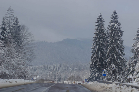 冬季道路积雪树木包围图片
