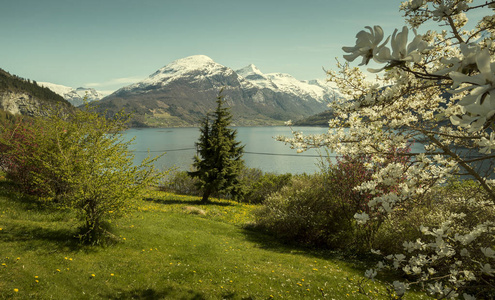 挪威春季景观