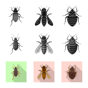 昆虫和飞行标志的矢量设计。昆虫和元素存量矢量图的采集