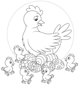 母鸡和小鸡照片