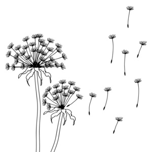 干虫草花图片-干虫草花素材-干虫草花插画-摄图新视界