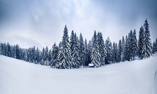 冬季景观。冬季场面。山上下雪。雪冬自然