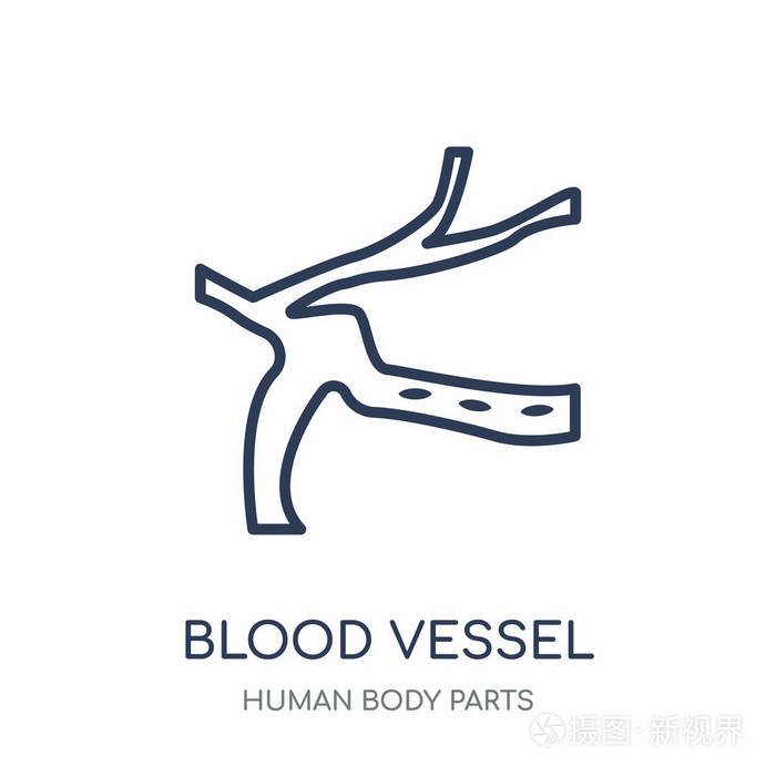人体部位采集中的血管线性符号设计插画-正版商用图片0a8yfy-摄图新