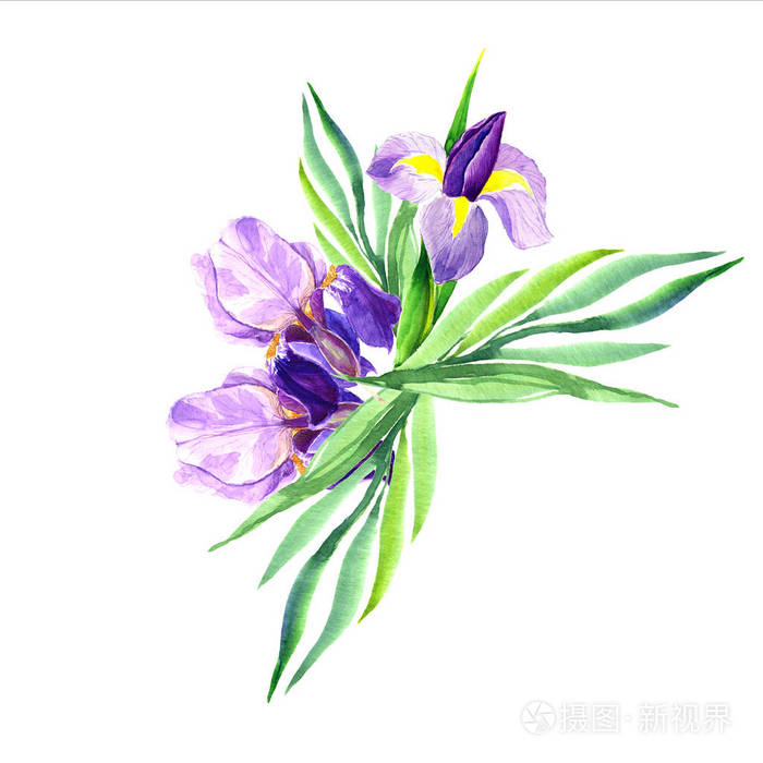 装饰水彩花花卉插图婚礼或贺卡的植物学组合枝花浪漫