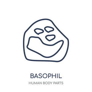 巴索菲尔图标。从人体零件集合的罗芬勒线性符号设计