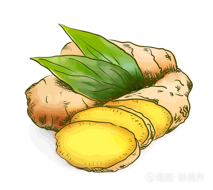 与素描模仿水彩插画-正版商用图片0a95o3-摄图新视界