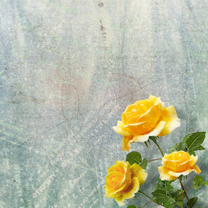 美丽的黄色玫瑰与绿叶在抽象多彩的背景