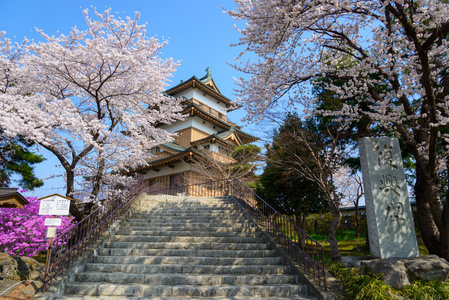 樱花和高岛城堡