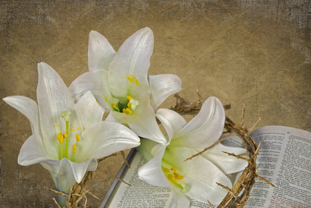 复活节百合戴着荆棘的王冠照片