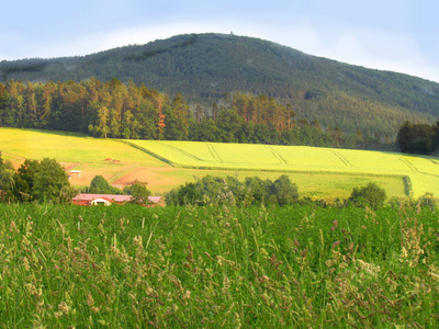 夏季农村丘陵景观与绿色草地, 黄色的田野, 山的景色叫 Blanik