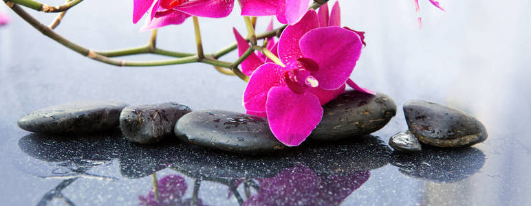 粉红色的兰花花和温泉石。水疗背景
