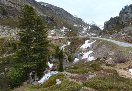 夏季山地景观瑞士弗鲁埃拉通行证