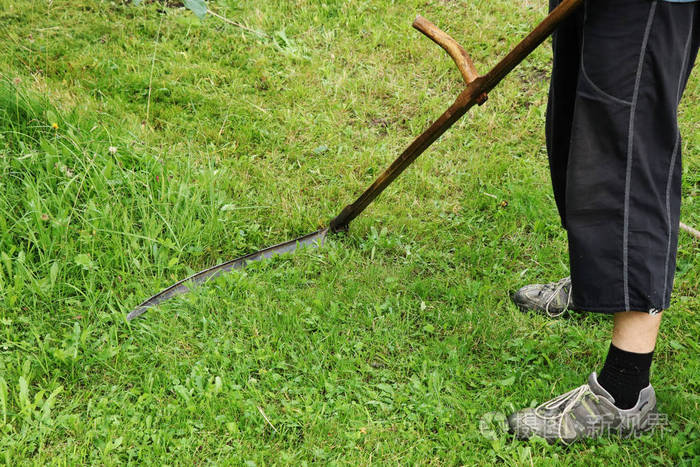 用镰刀割草的人.该工具是从木棒和钢边组装.暑期工作