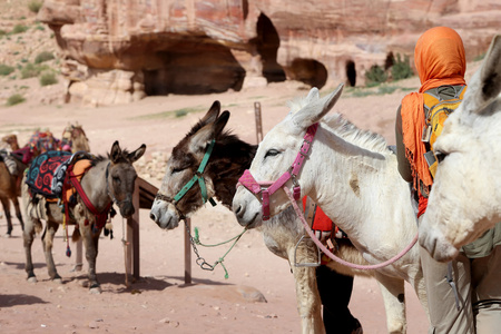 旅游和驴之间砂岩沙漠景观，佩特拉，Jordan