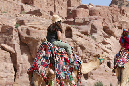 骆驼，Jordan 游客佩特拉的古代遗迹