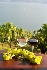 葡萄酒和葡萄中的瑞士