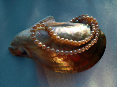 海珍珠图片 海珍珠素材 海珍珠插画 摄图新视界