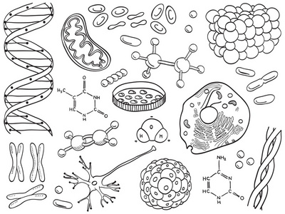 孤立的生物学和化学图标