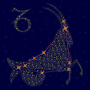 黄道十二宫星座,摩羯座在满天星斗的天空照片