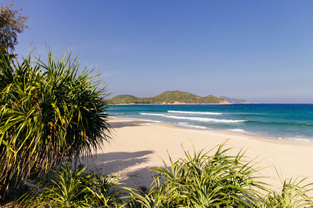 野生风景如画的海滩