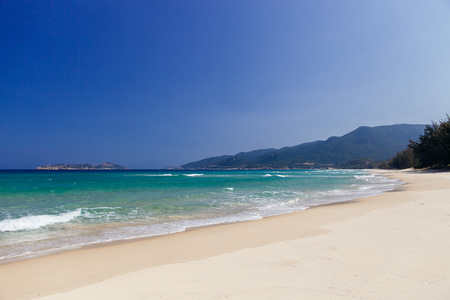 野生风景如画的海滩