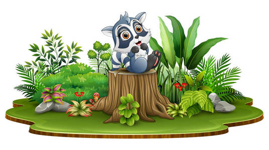 卡通快乐浣熊坐在树桩与绿色植物