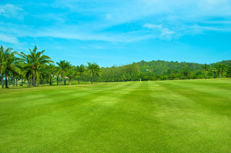 高尔夫球场 lansdcape 与棕榈树