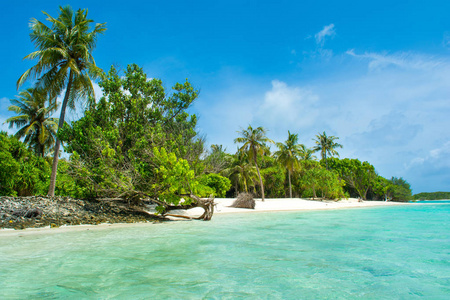 马尔代夫海岛图片-马尔代夫海岛素材-马尔代夫海岛插画-摄图新视界