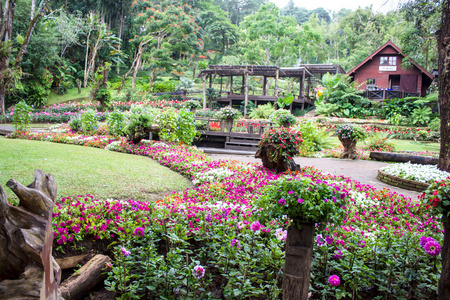 湄 fah 銮花园，位于茵董，泰国清莱省