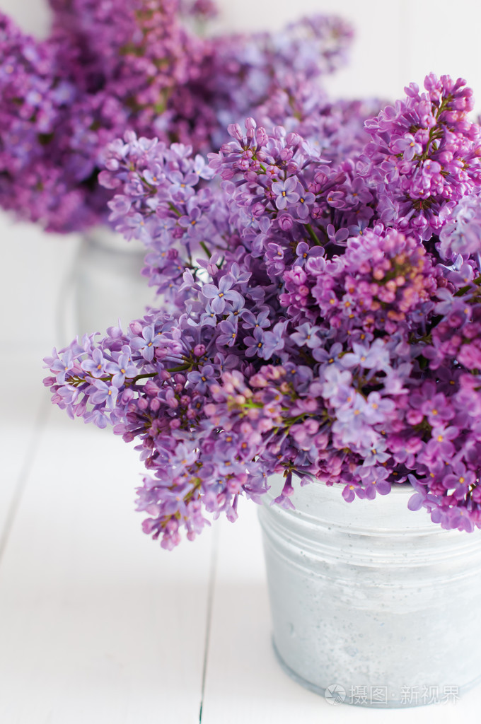 两束紫丁香花