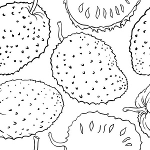 番荔枝木图片-番荔枝木素材-番荔枝木插画-摄图新视界