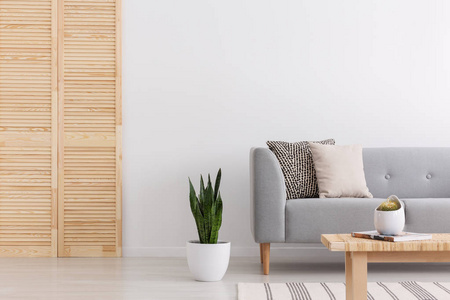 绿色植物在白色壶之间的木屏幕和简单的灰色沙发与枕头在日常房间内部现代公寓, 真正的照片与害羞的空间