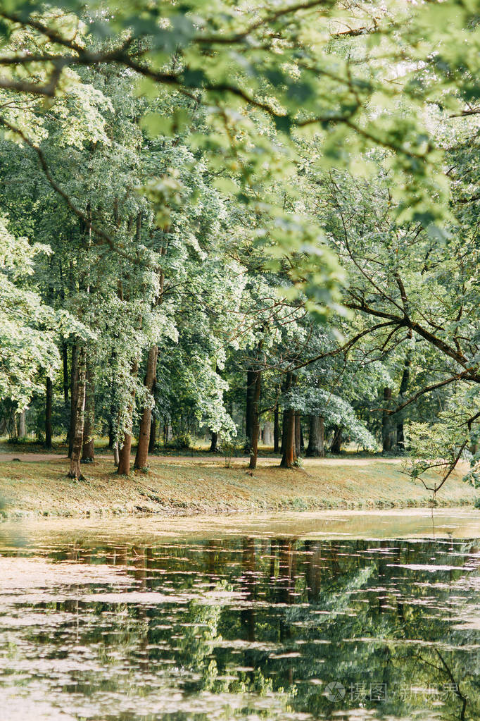 桥和湖, 老公园.环境友好和清洁, 在城市之间