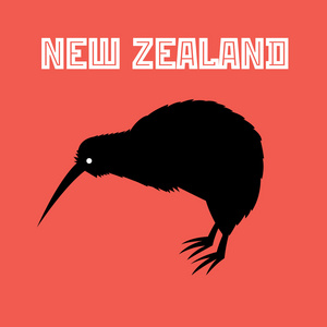 新西兰的猕猴桃鸟象征图片