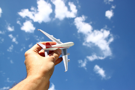手举行飞机图片