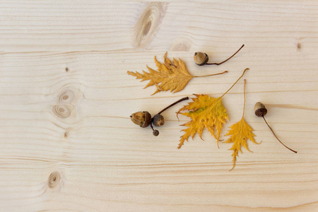 秋天叶子与橡子在轻木板背景