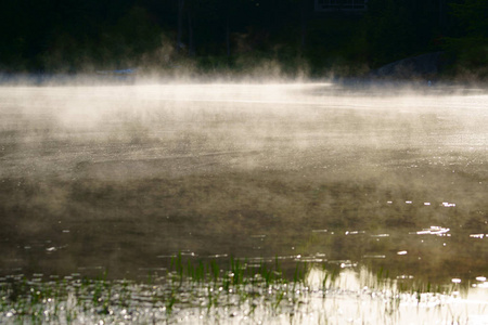 日出在加拿大的湖上。水面上有些雾气。清晨