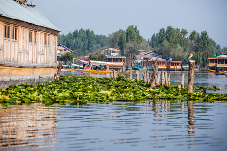 渥太华船在克什米尔印度达尔湖