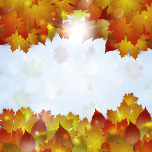 抽象秋天黄色叶子明亮的自然背景