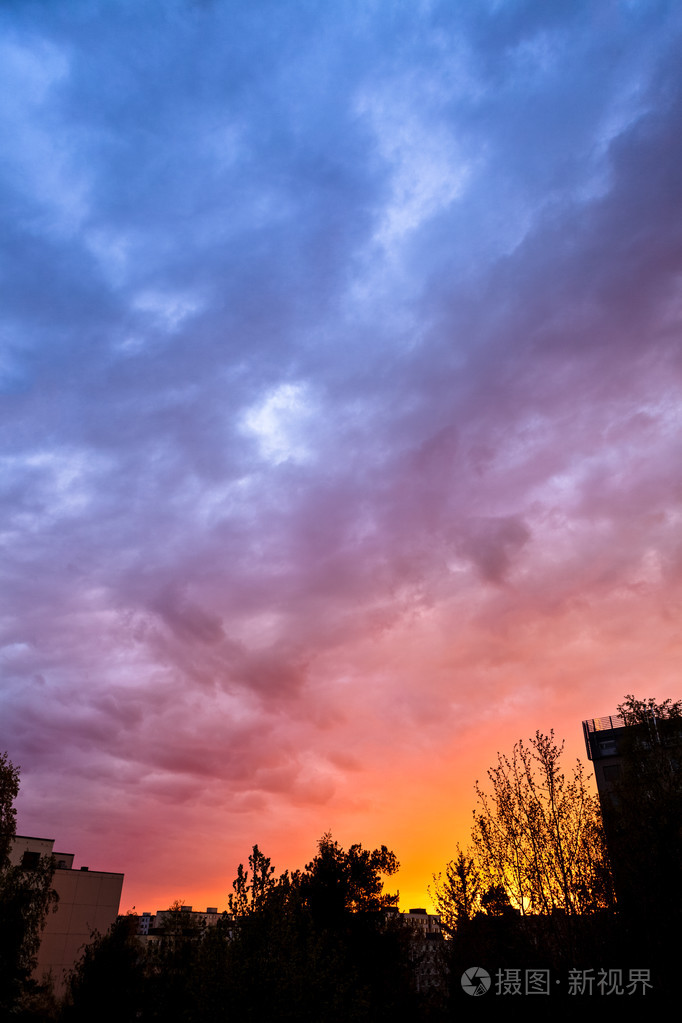 美丽的夕阳的天空和树剪影
