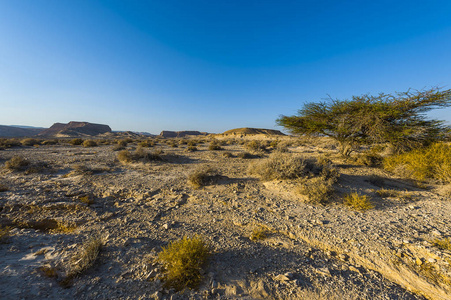 在以色列的南沙漠的岩石丘陵荒凉的无限。惊人的风景和中东的性质