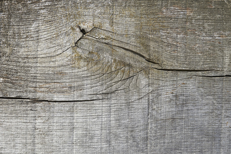 木材和节点的纹理背景图片