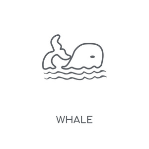 鲸鱼概念笔划符号设计.