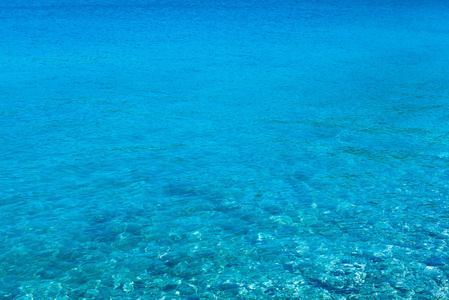 科纳提国家公园的海滨, 位于克罗地亚的希贝尼克. 亚得里亚海的海底景观