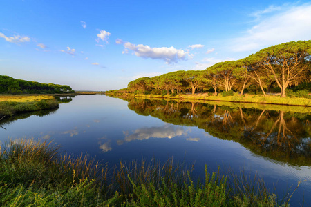 在河流的岩石osala 河的全景, 一条河流流向海在卡拉 osalla, 繁茂的