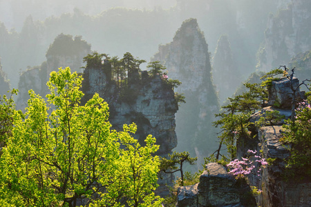 张家界山脉, 中国