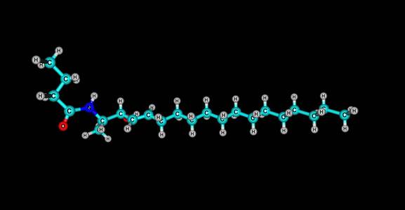 神经酰胺是一种含蜡脂分子的家族。神经酰胺是由鞘和脂肪酸组成的分子。3d 插图