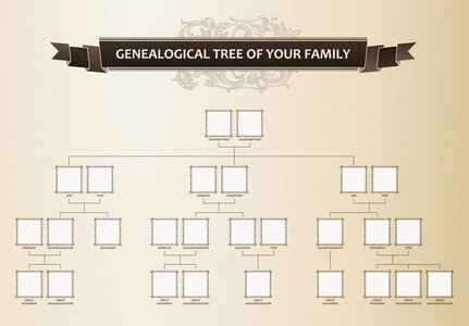 你的家庭族谱树图片